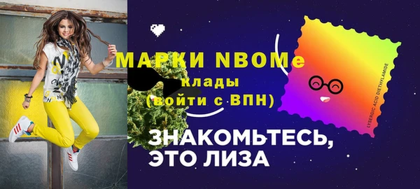 ECSTASY Покров